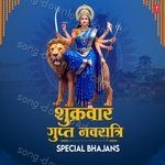 Shukrawar Gupt Navratri Special Bhajans - Anuradha Paudwal Song Download